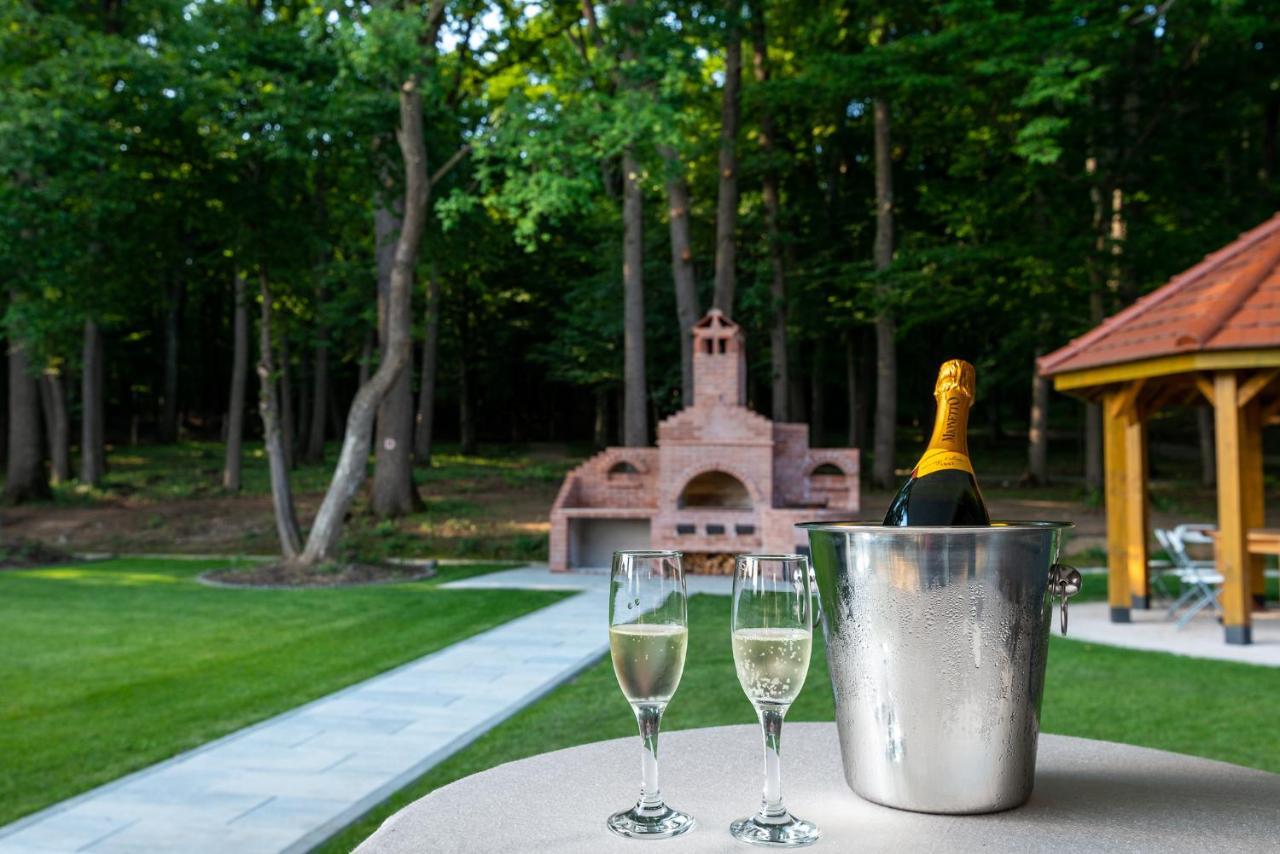 Panorama Boutique Hotel Sfântu-Gheorghe Eksteriør bilde